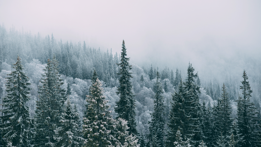 Die dunkle Jahreszeit: Warum unser Körper jetzt Ruhe braucht – und wie Akupressur hilft, Stress abzubauen