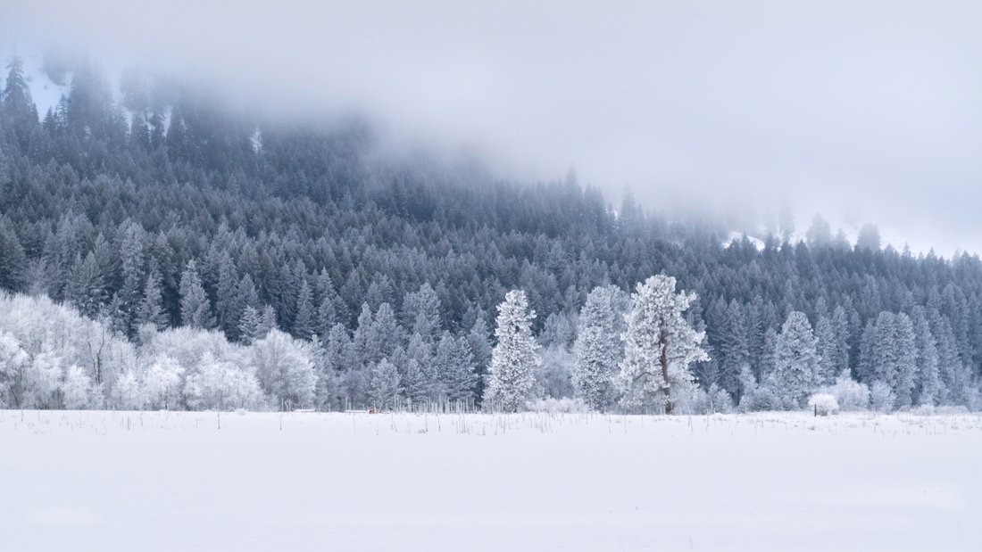 Akupressur & Atem: Ein effektiver Weg zur Ruhe
